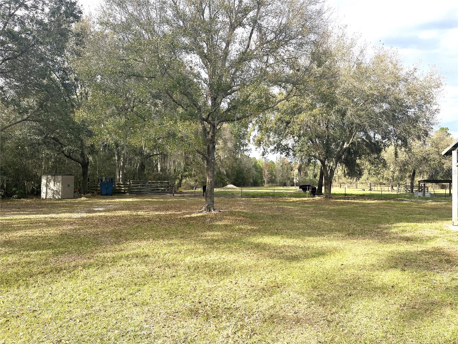 30737 Elam Rd Property Photo 8