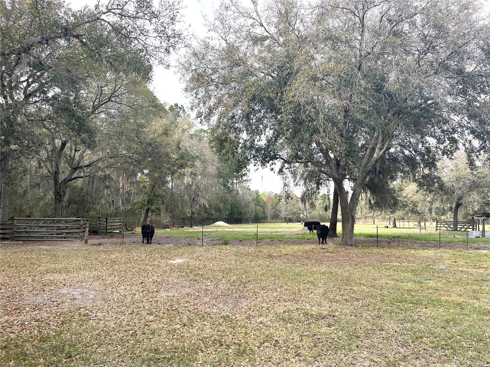 30737 Elam Rd Property Photo 11