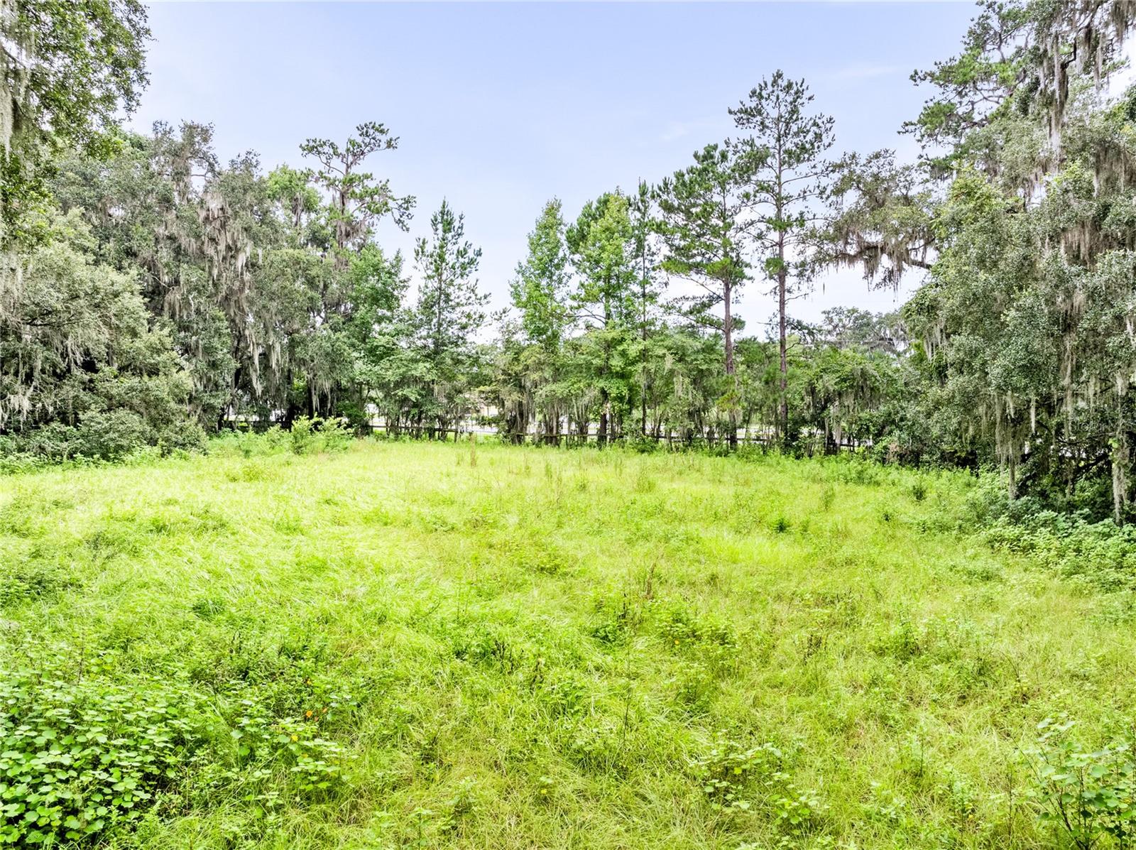12255 N Us Highway 27 Property Photo 9
