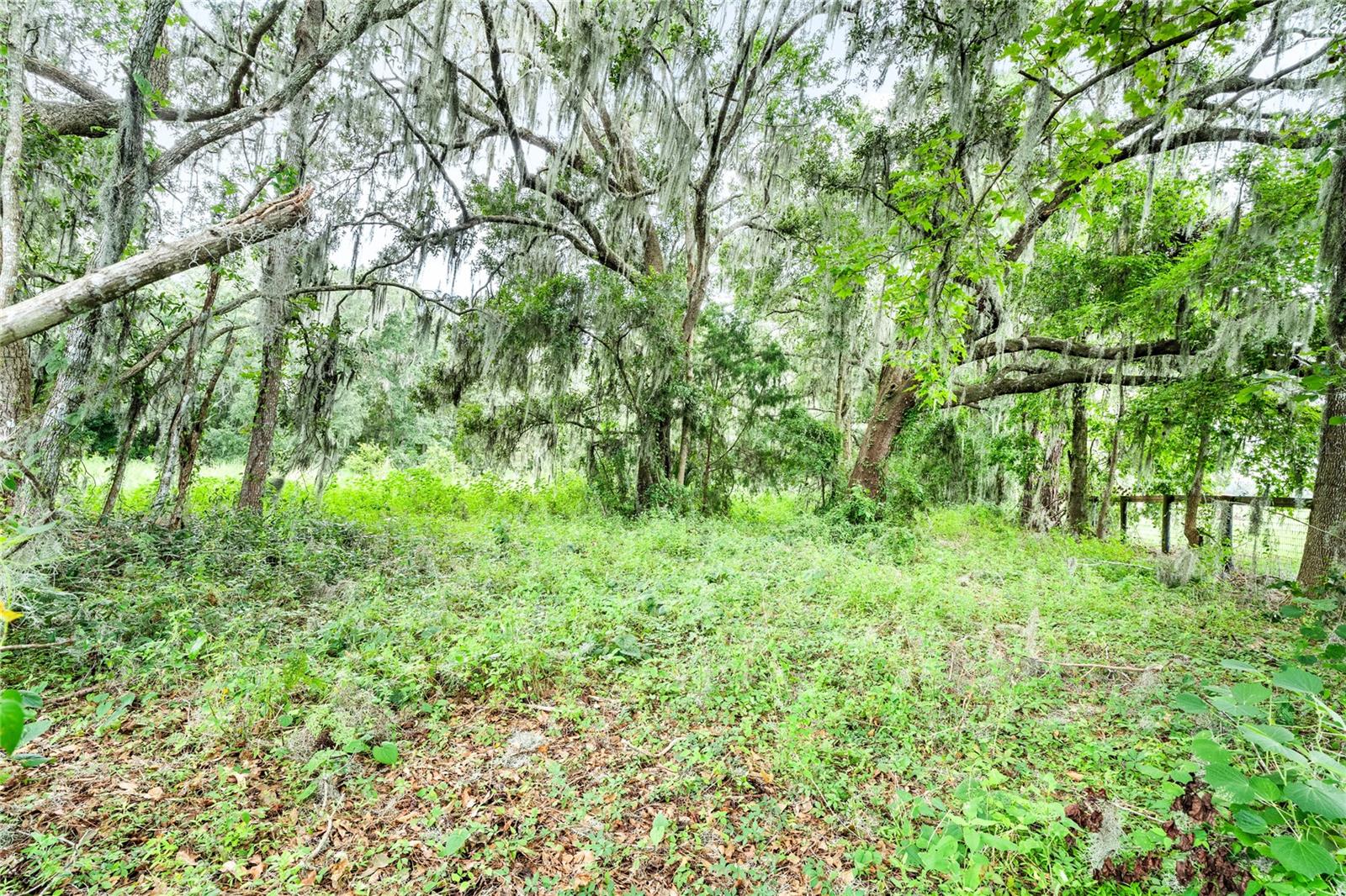 12255 N Us Highway 27 Property Photo 10
