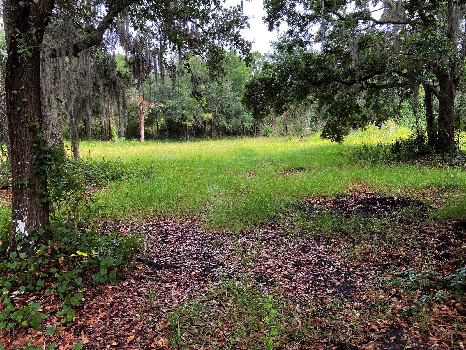 Lightfoot Rd Property Photo 1