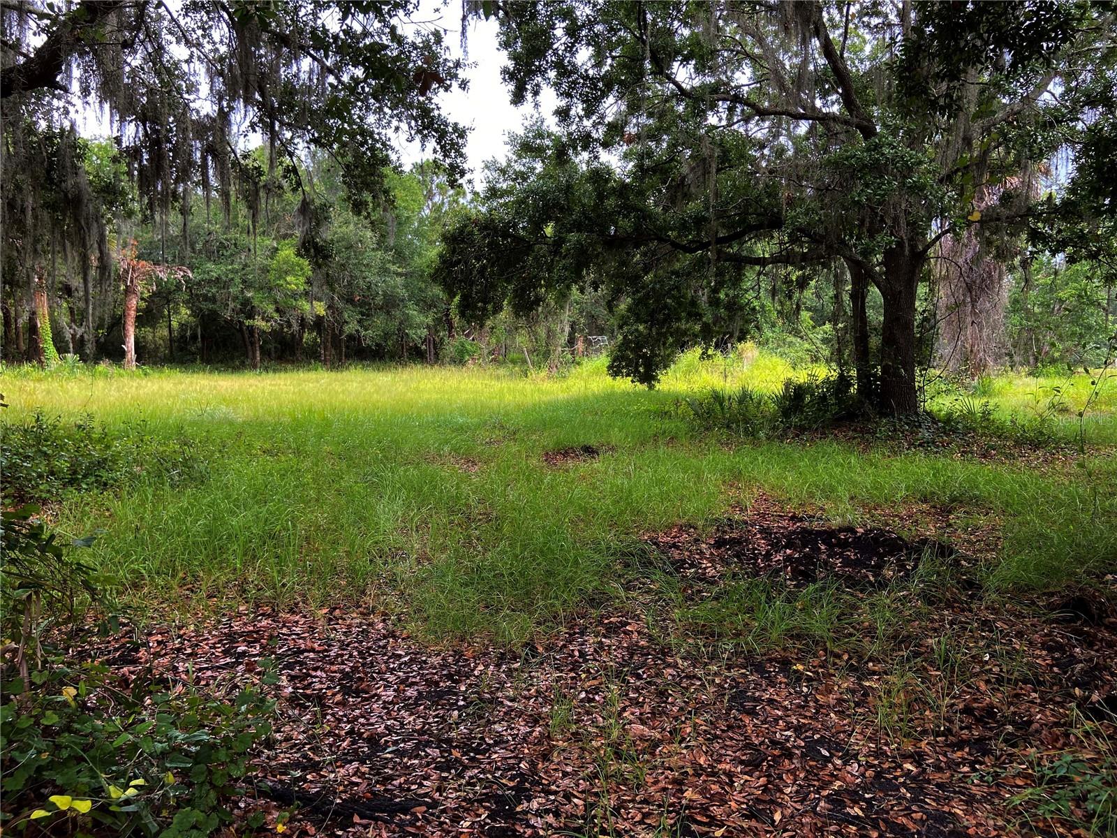 Lightfoot Rd Property Photo 2
