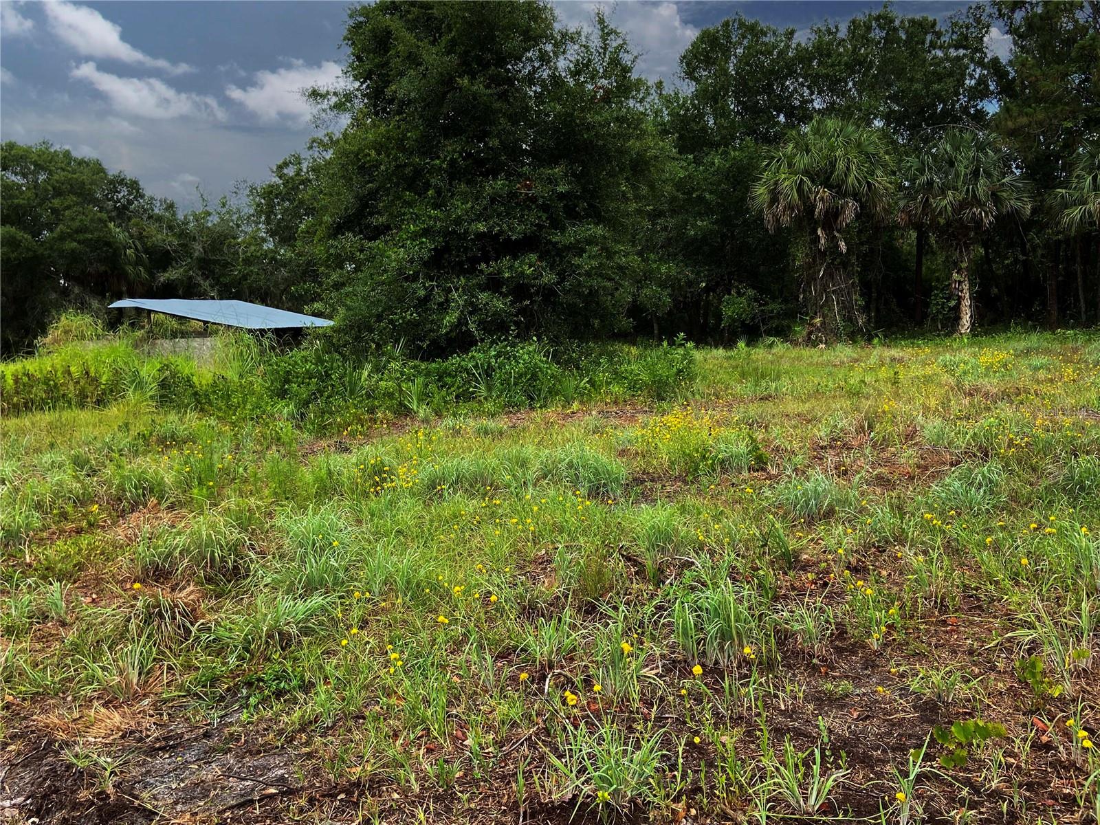 Lightfoot Rd Property Photo 3