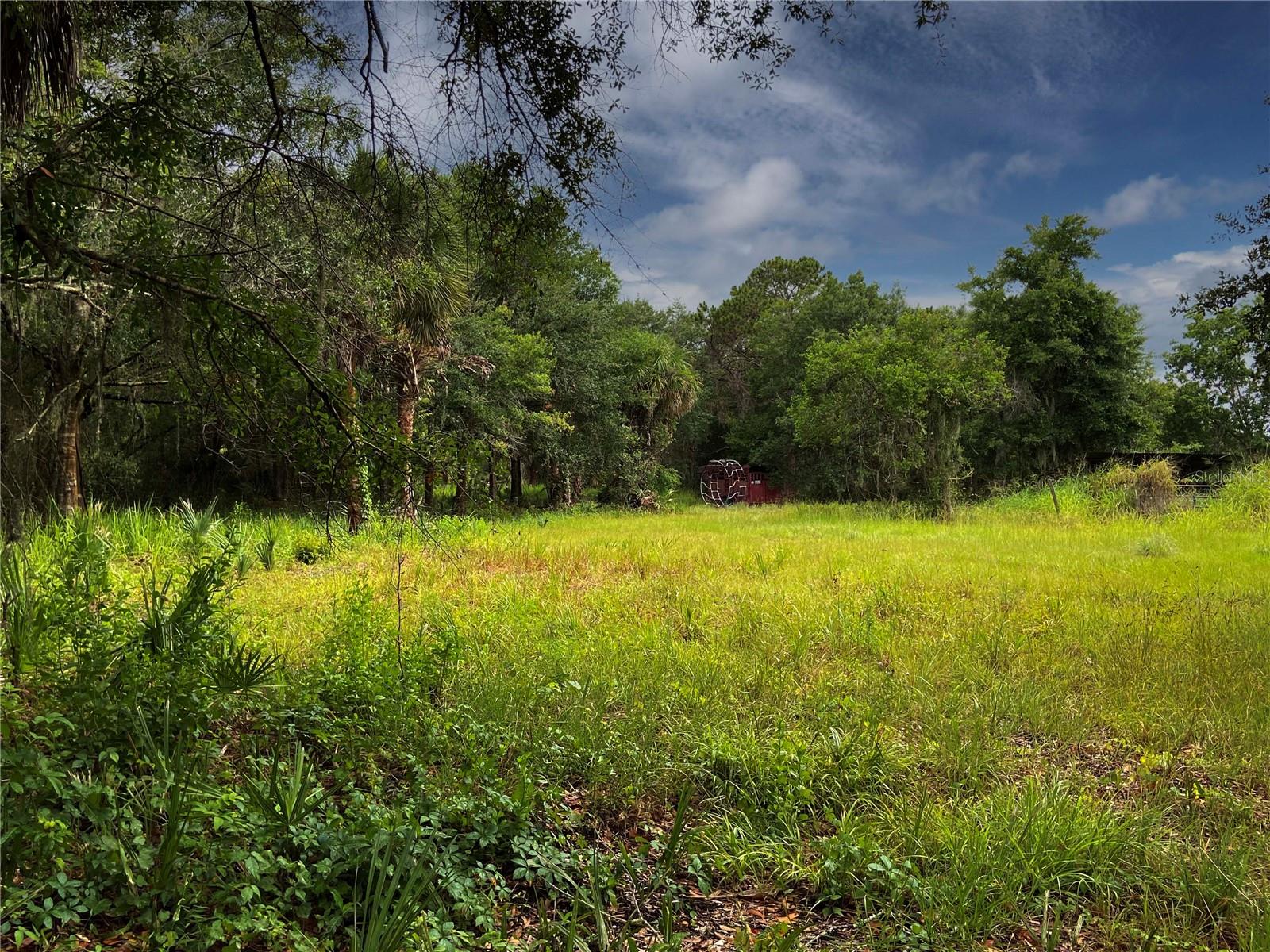 Lightfoot Rd Property Photo 15