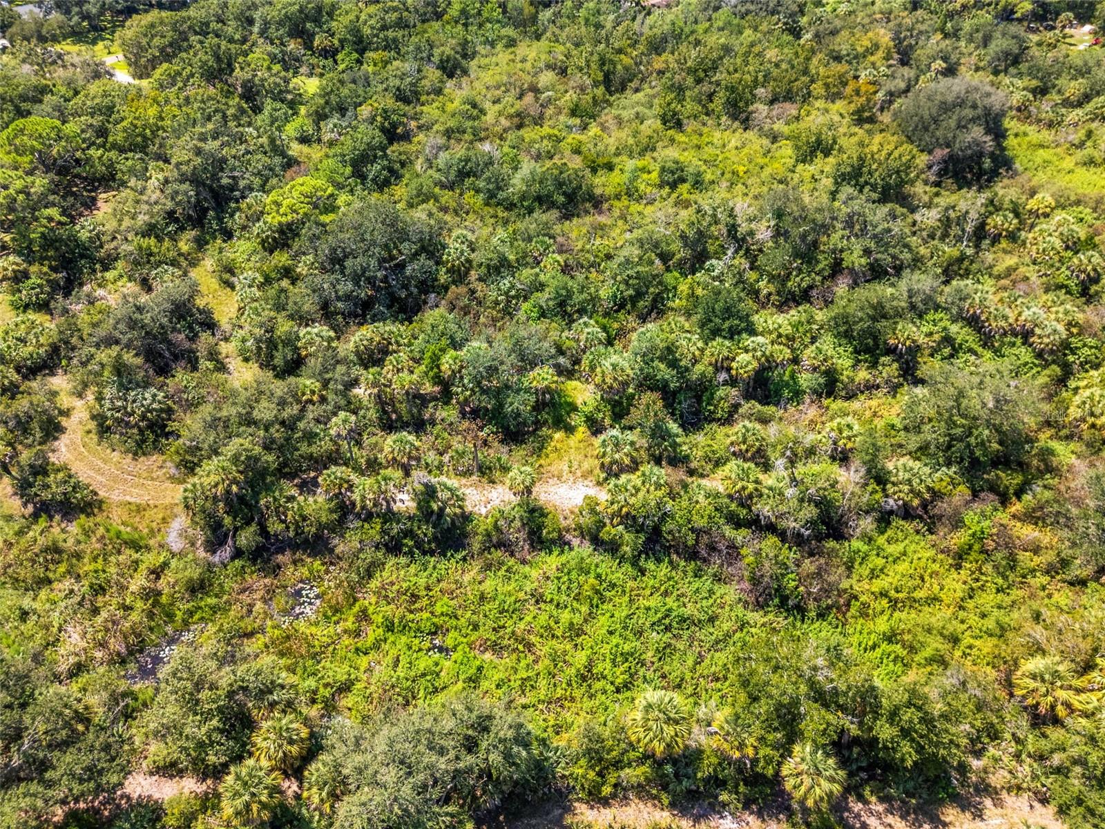 Lightfoot Rd Property Photo 17