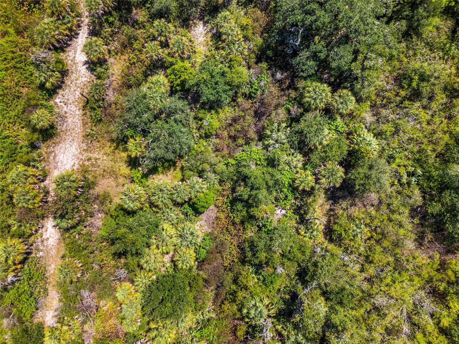 Lightfoot Rd Property Photo 18