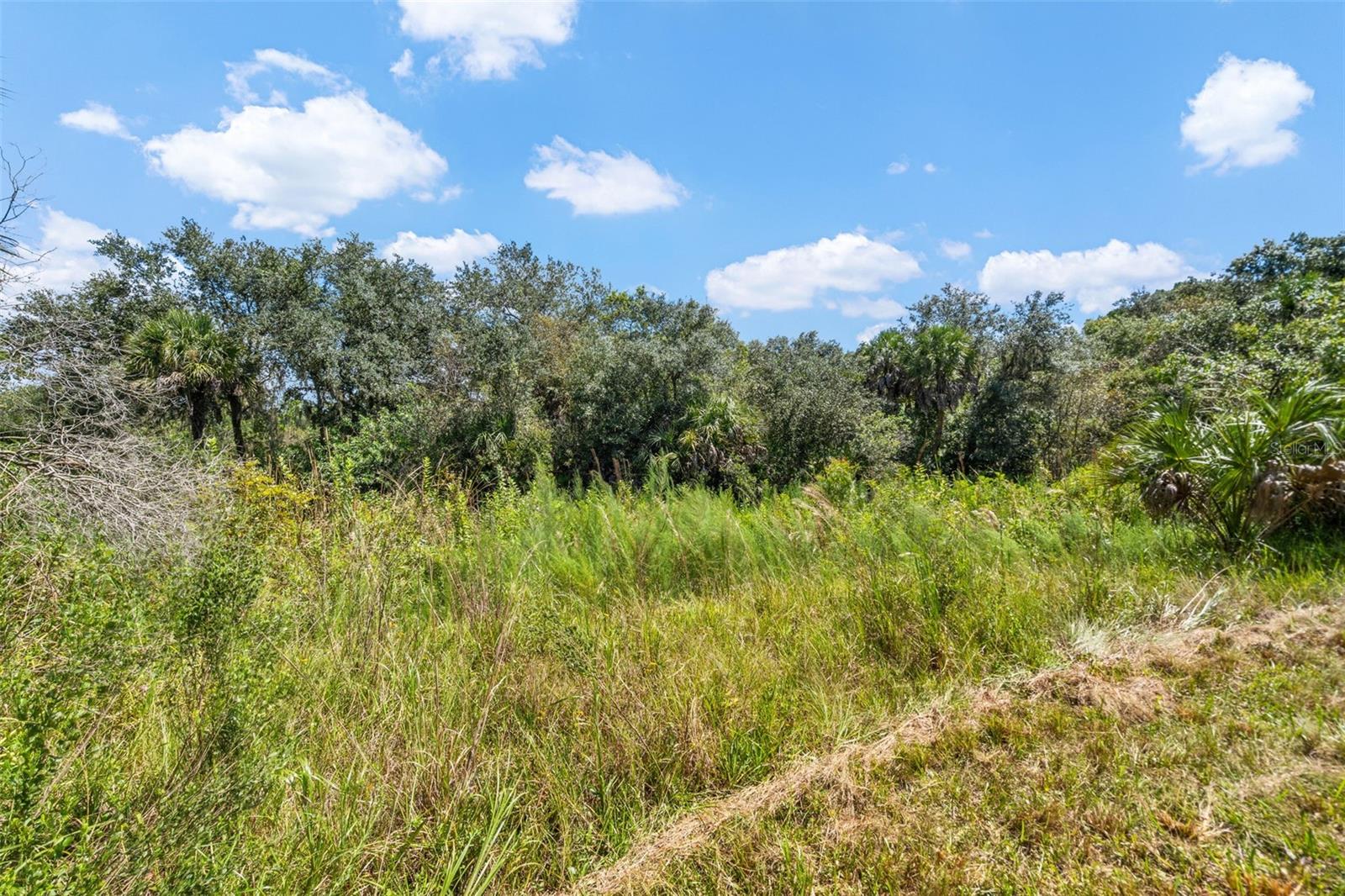 Lightfoot Rd Property Photo 20