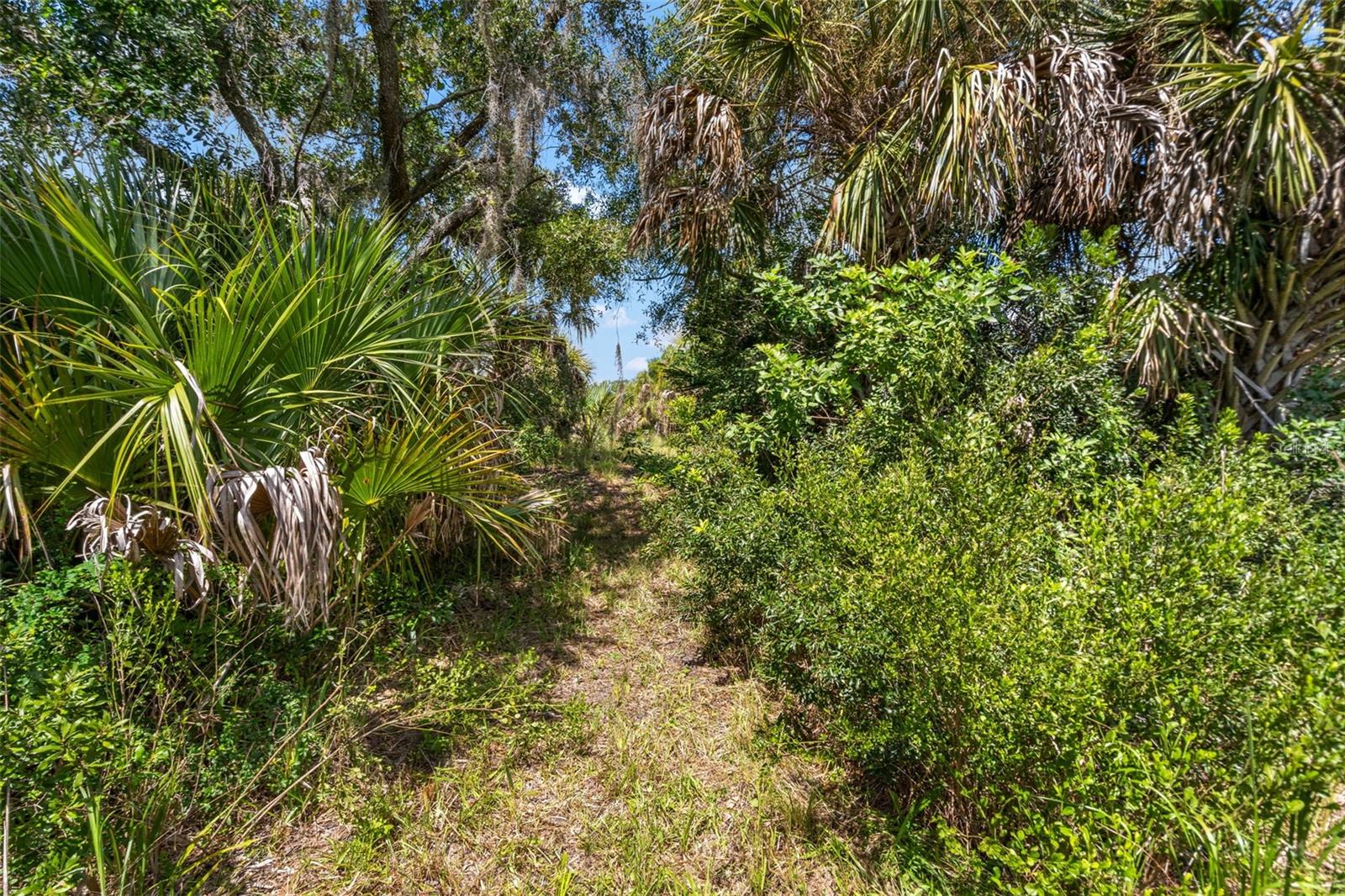 Lightfoot Rd Property Photo 21