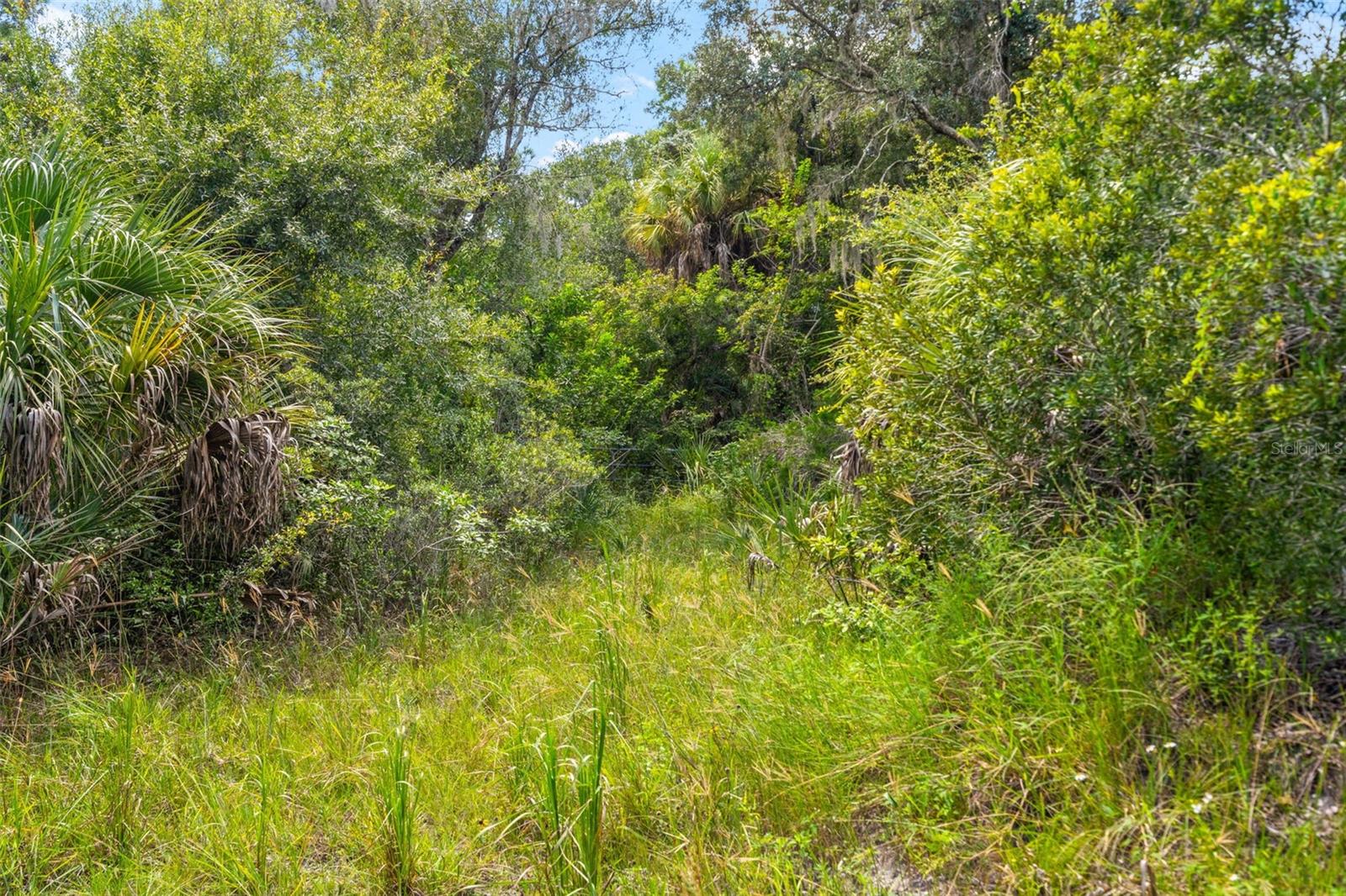 Lightfoot Rd Property Photo 23