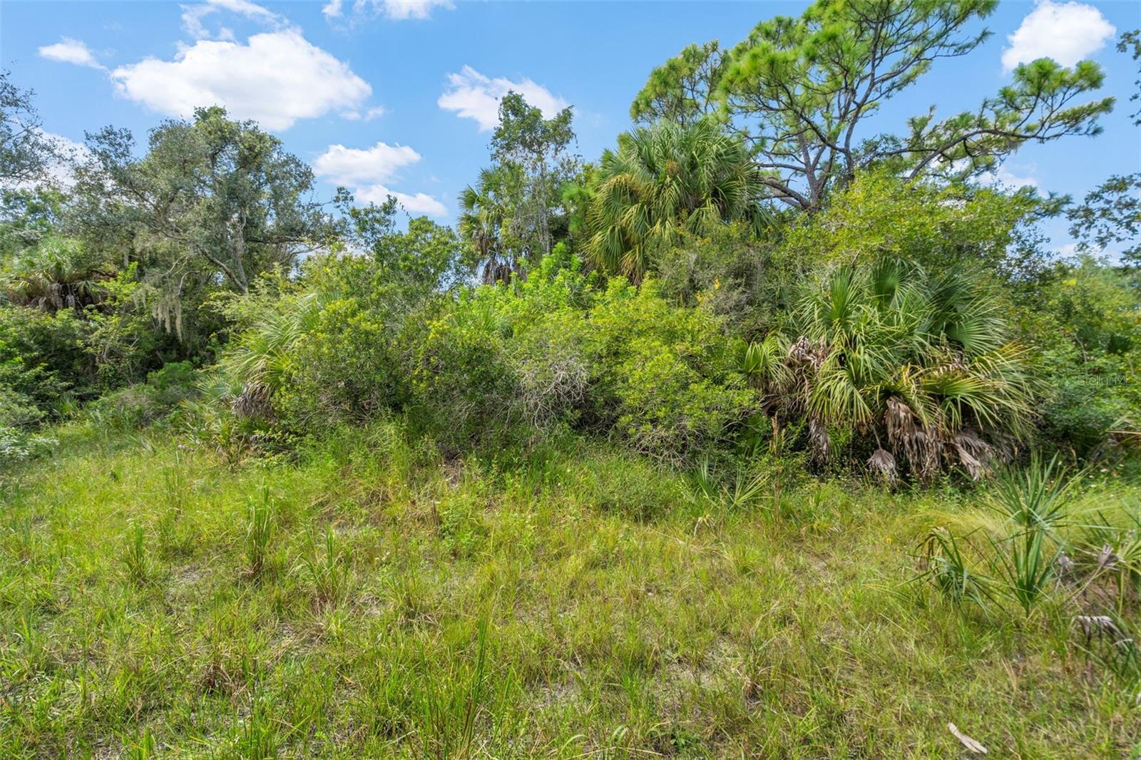 Lightfoot Rd Property Photo 24