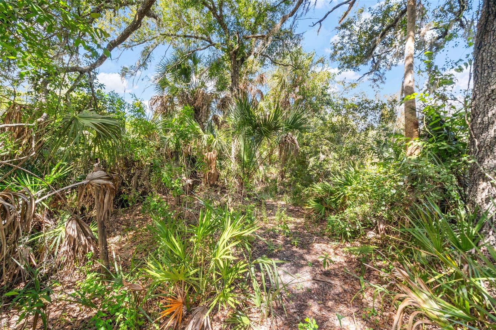 Lightfoot Rd Property Photo 25