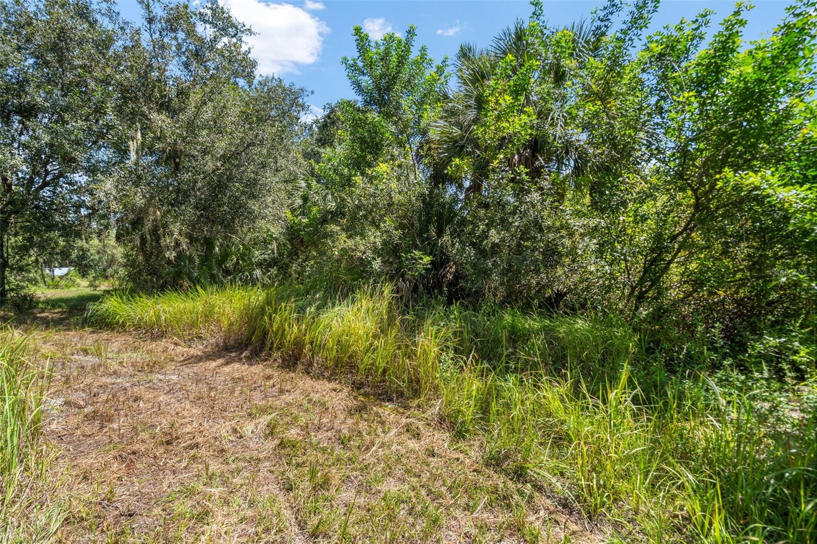 Lightfoot Rd Property Photo 27