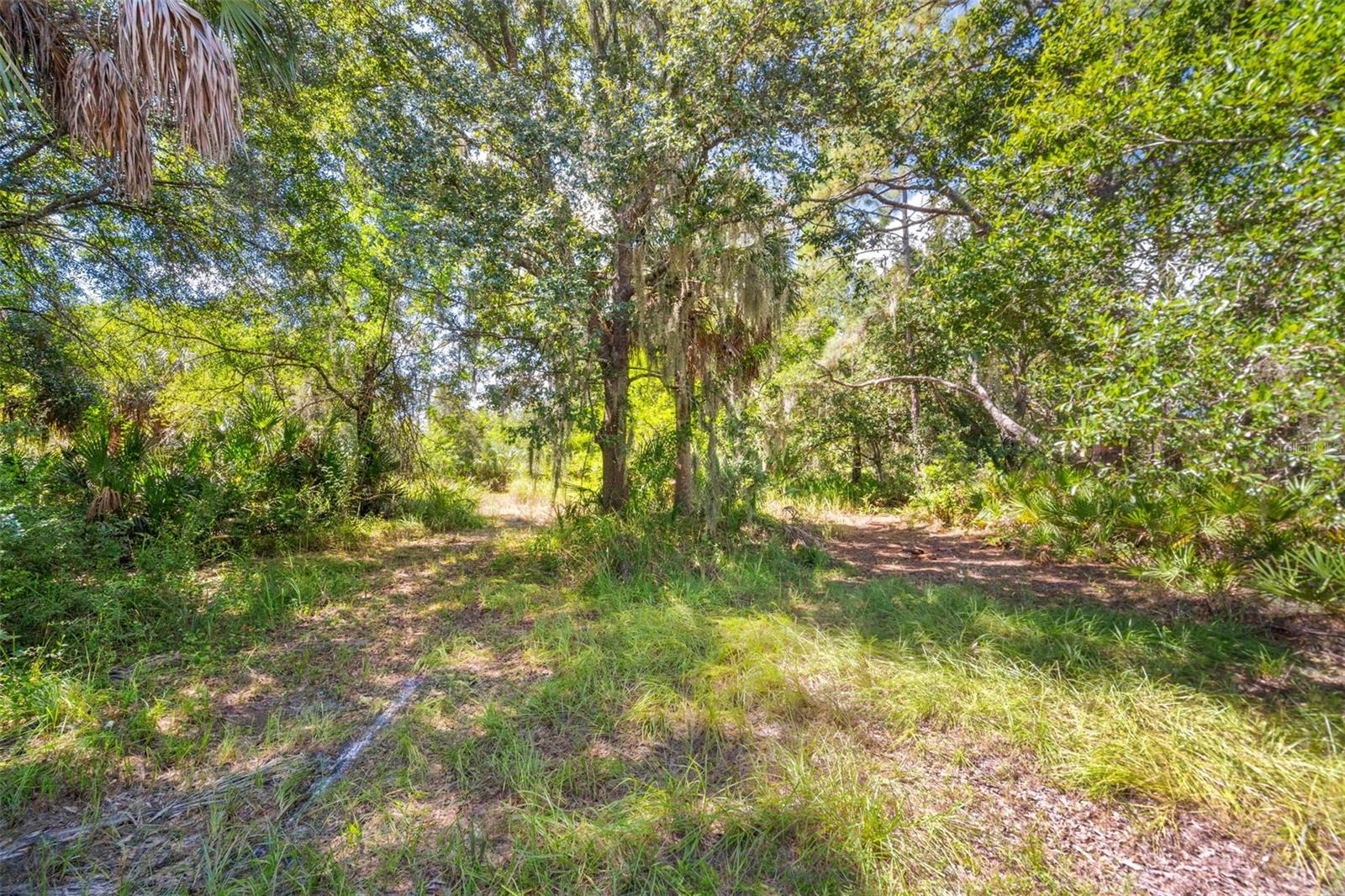 Lightfoot Rd Property Photo 28