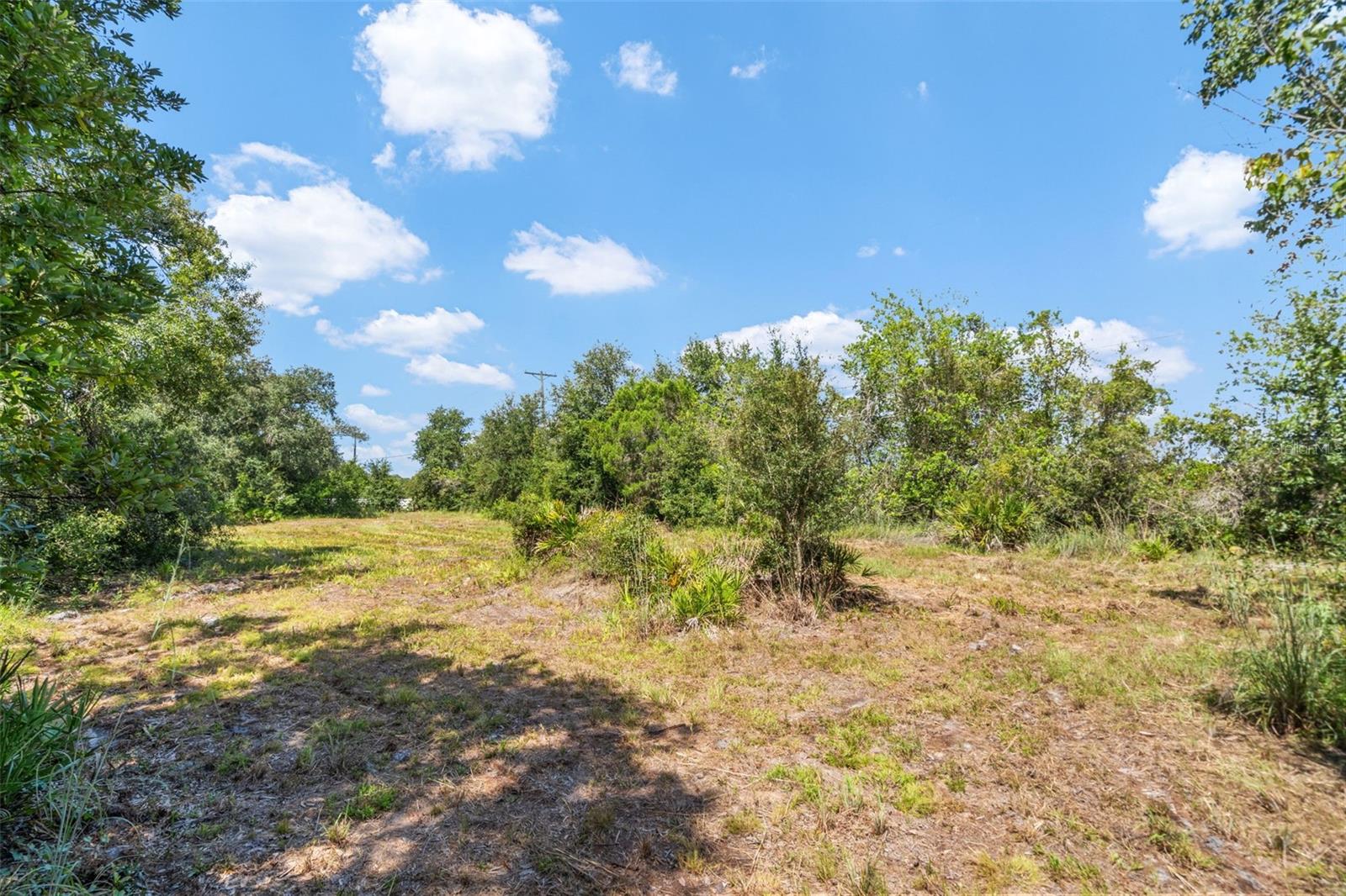 Lightfoot Rd Property Photo 29
