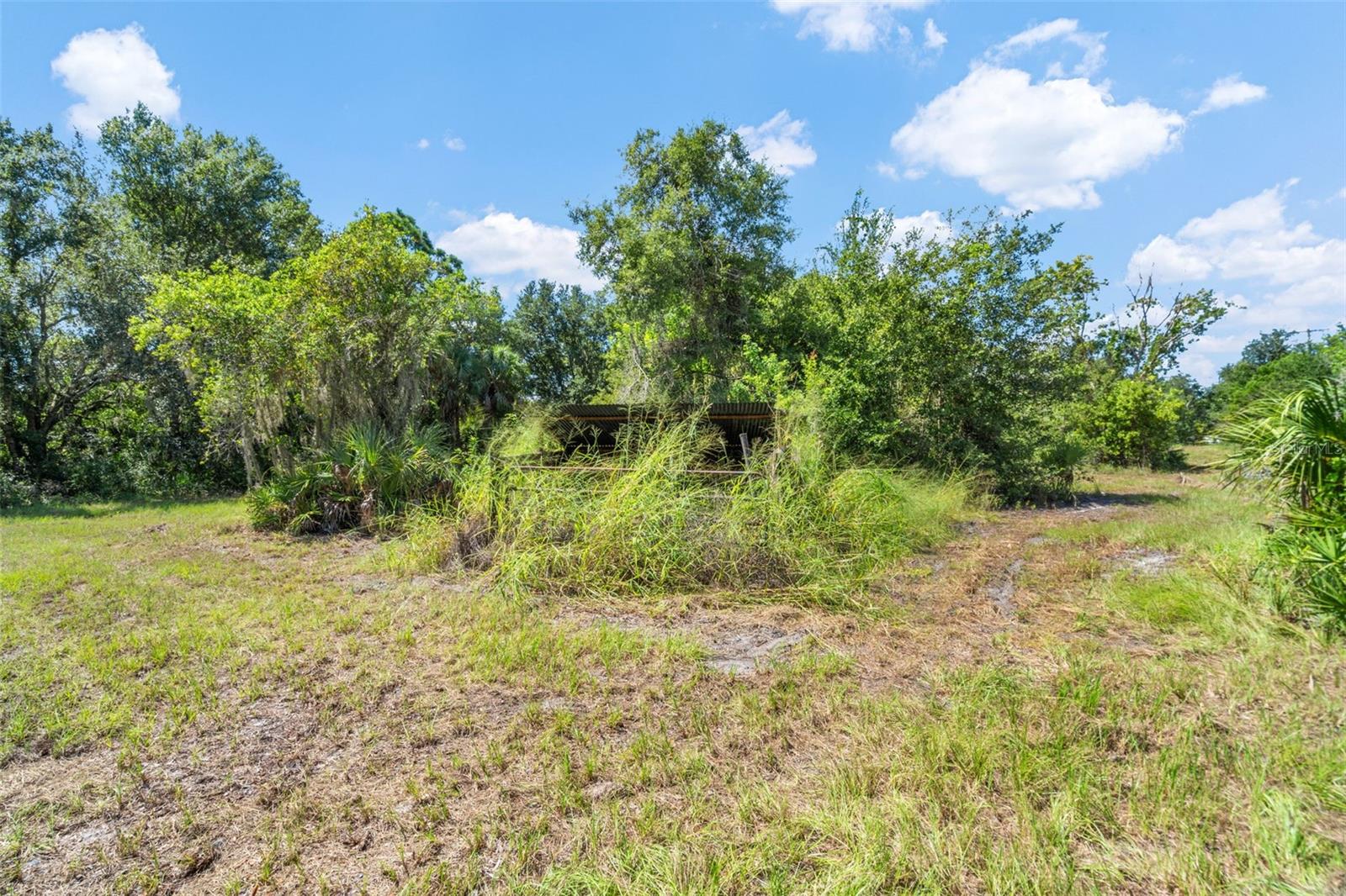Lightfoot Rd Property Photo 30