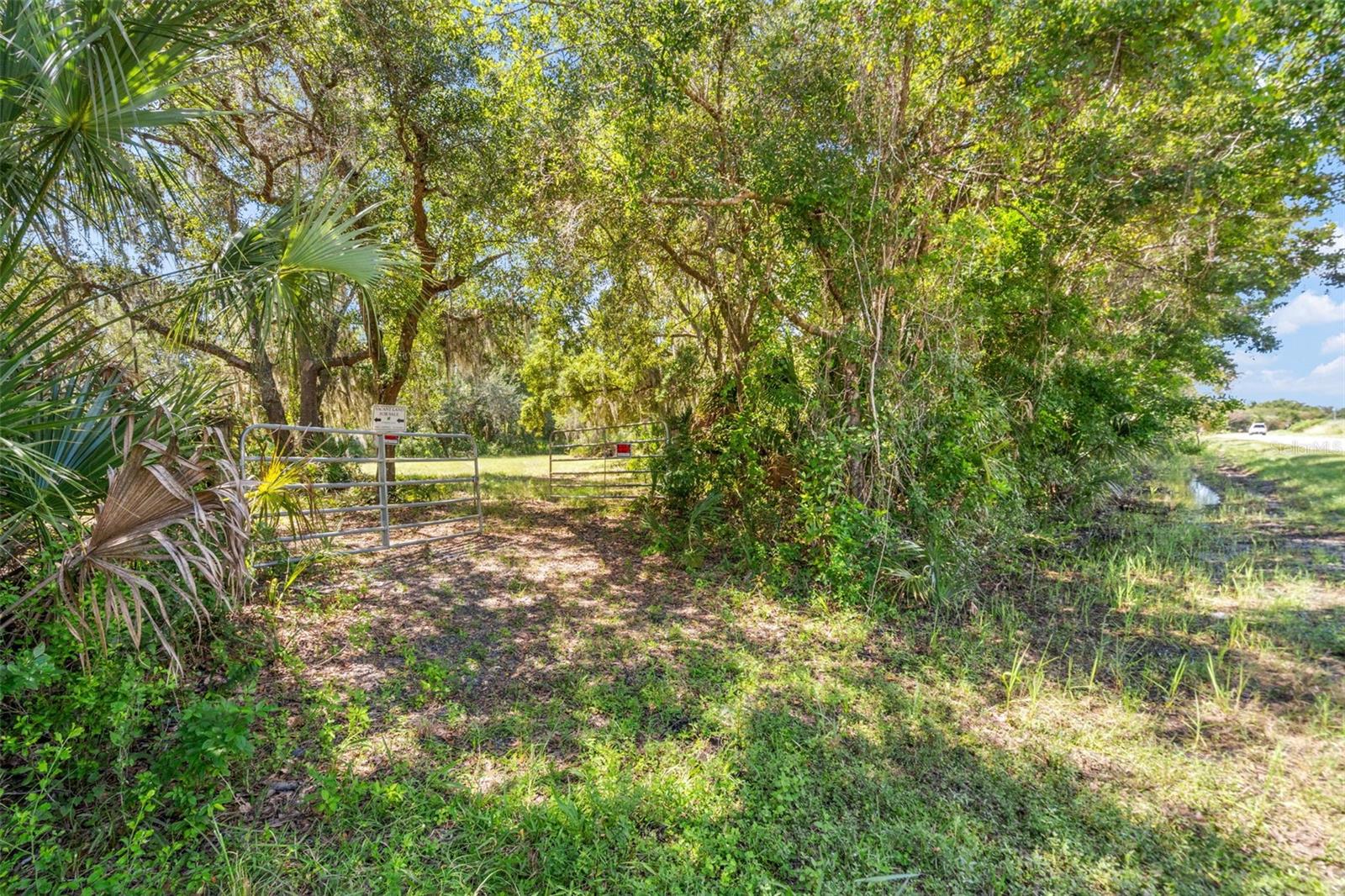Lightfoot Rd Property Photo 31