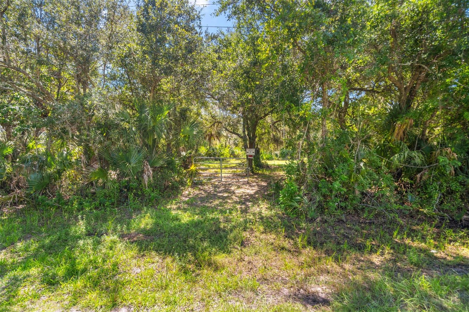 Lightfoot Rd Property Photo 32