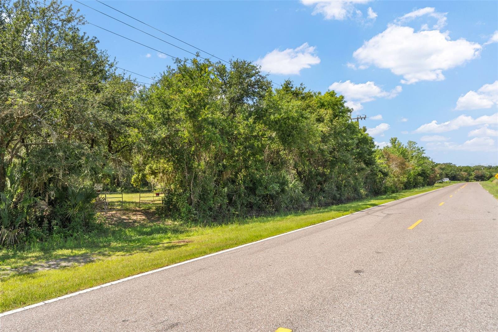 Lightfoot Rd Property Photo 33