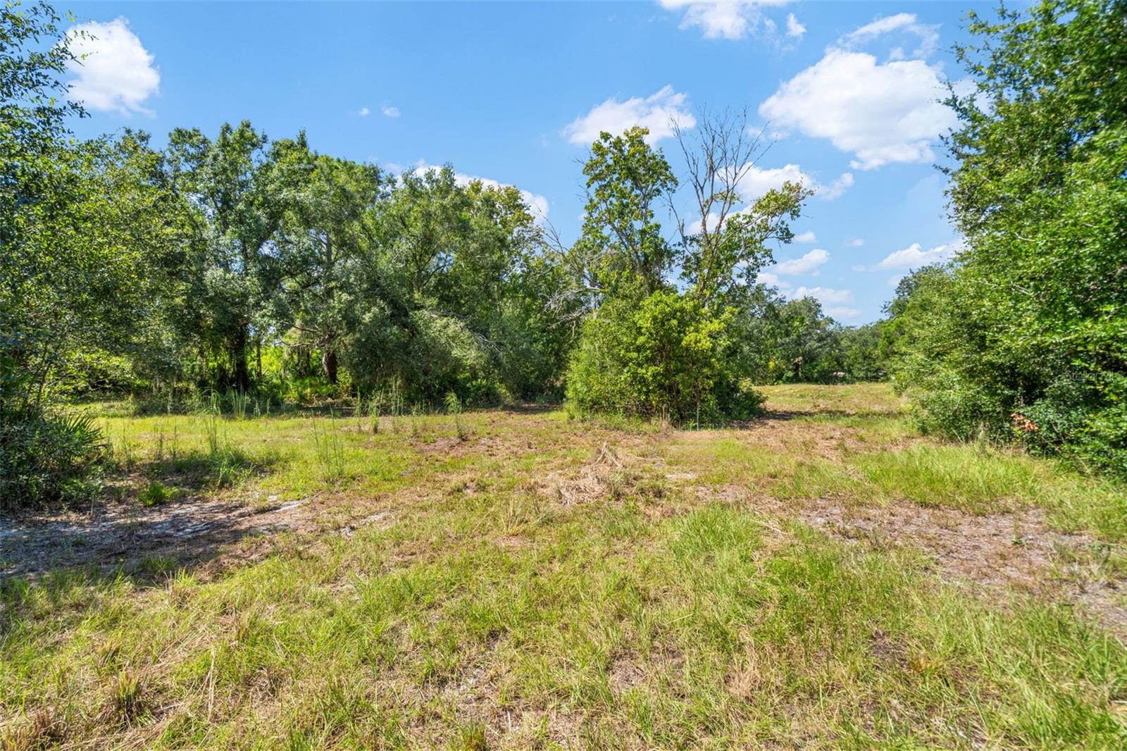 Lightfoot Rd Property Photo 34