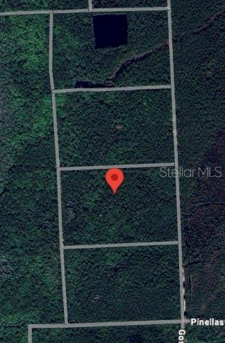 Martha Property Photo 1
