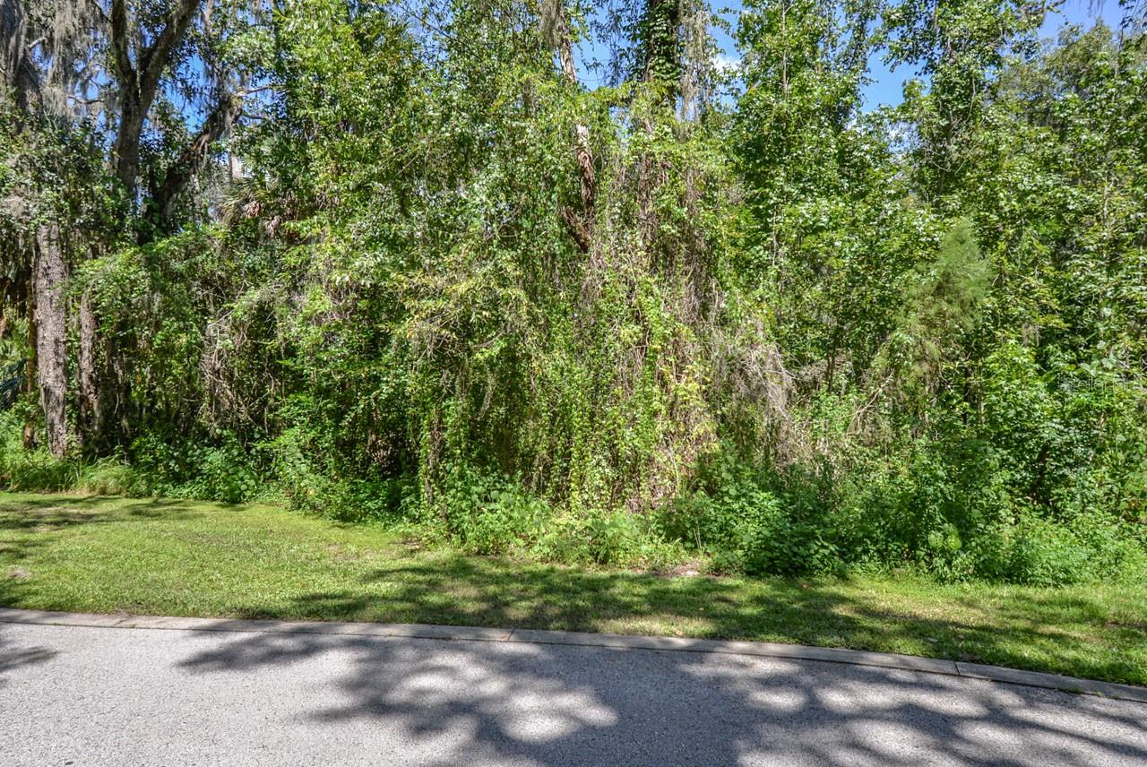 4808 Rambling River Rd Property Photo 2