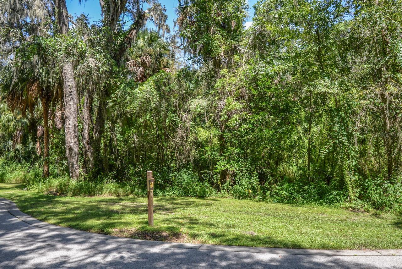 4808 Rambling River Rd Property Photo 3