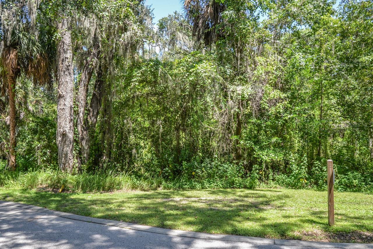 4808 Rambling River Rd Property Photo 4