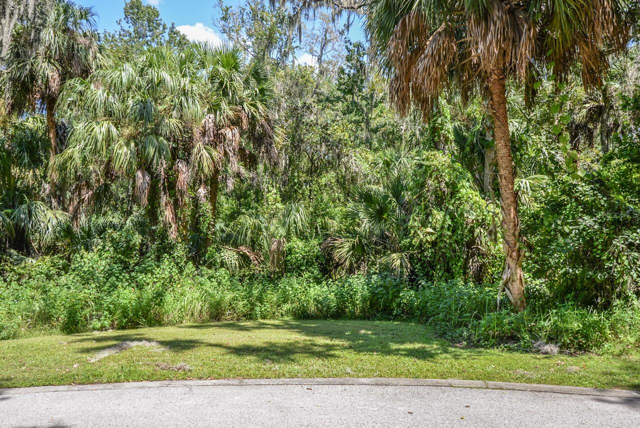 4808 Rambling River Rd Property Photo 5