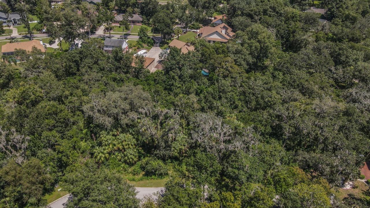 4808 Rambling River Rd Property Photo 9