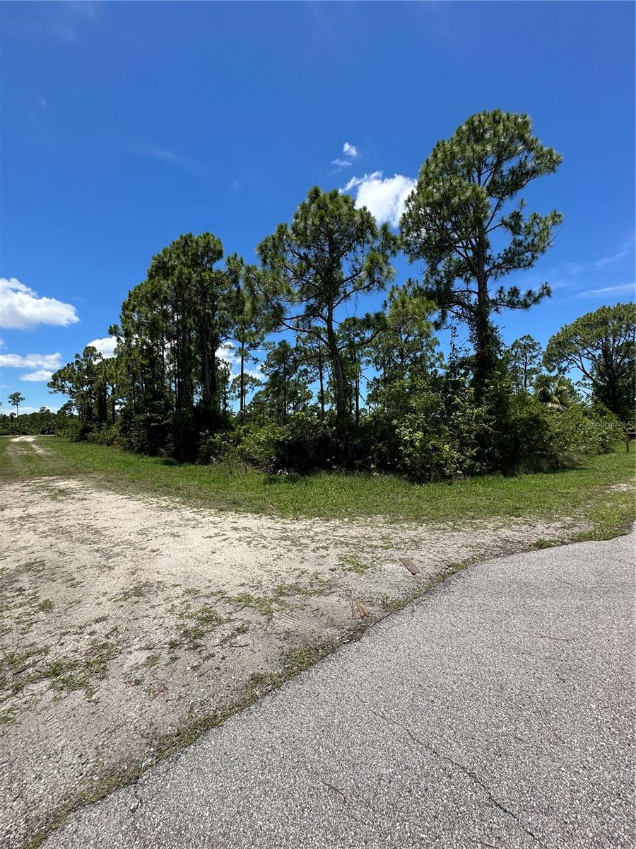 13201 TELEGRAPH DR Property Photo 1