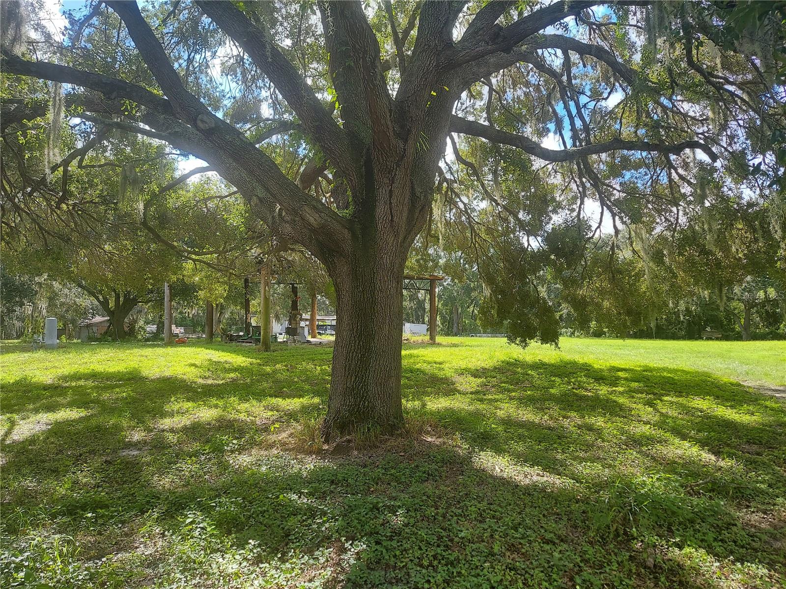 12016 Bullfrog Creek Rd Property Photo 6