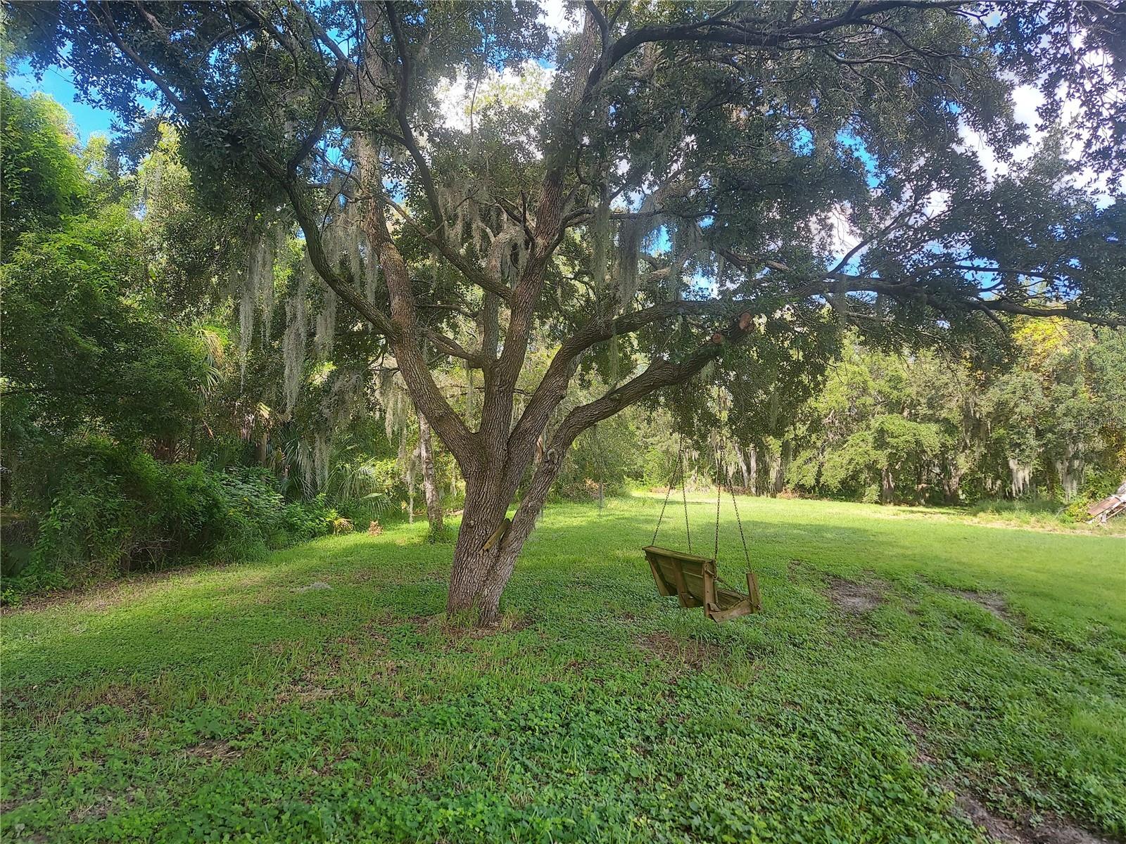 12016 Bullfrog Creek Rd Property Photo 9