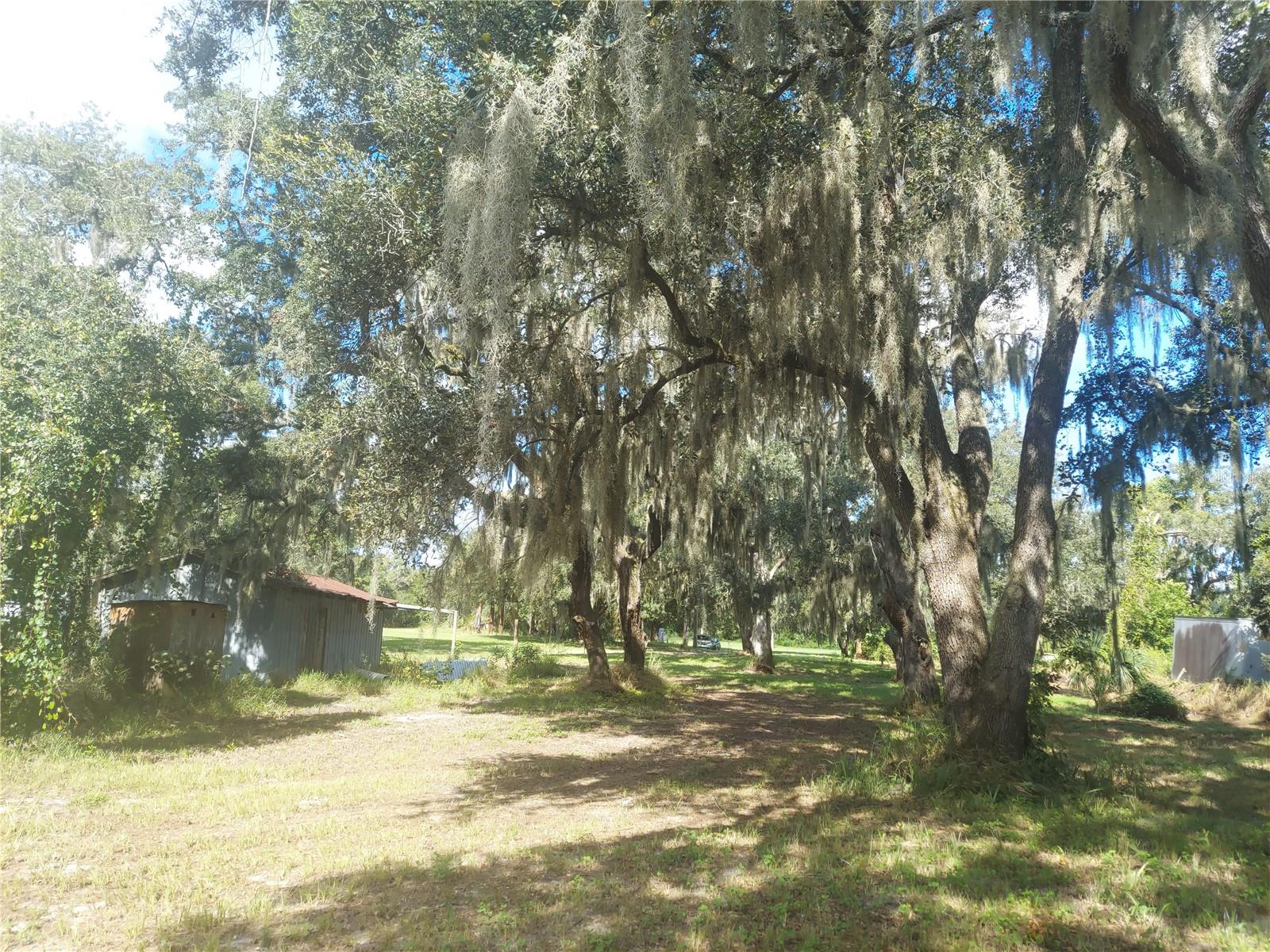 12016 Bullfrog Creek Rd Property Photo 15