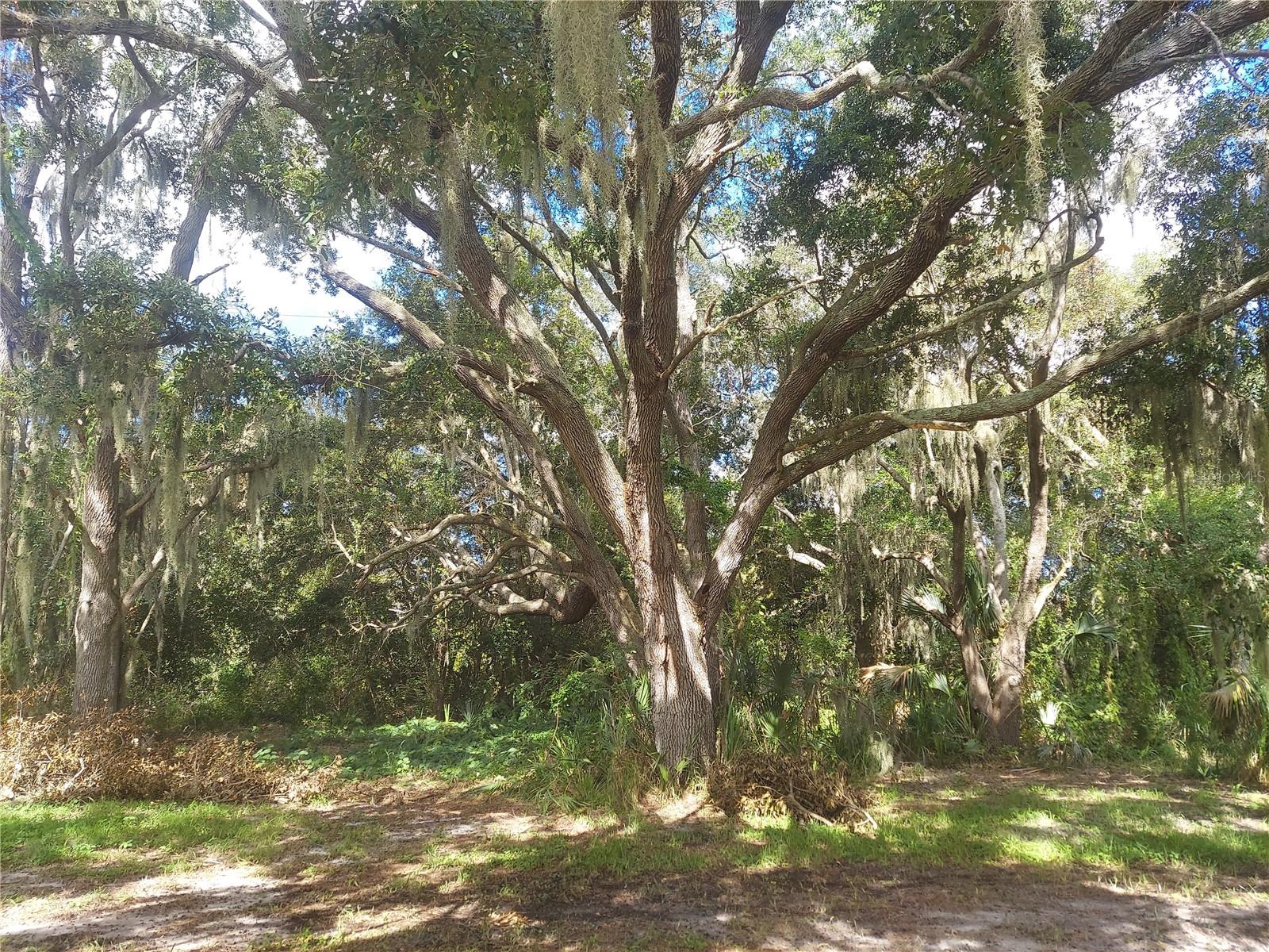 12016 Bullfrog Creek Rd Property Photo 18