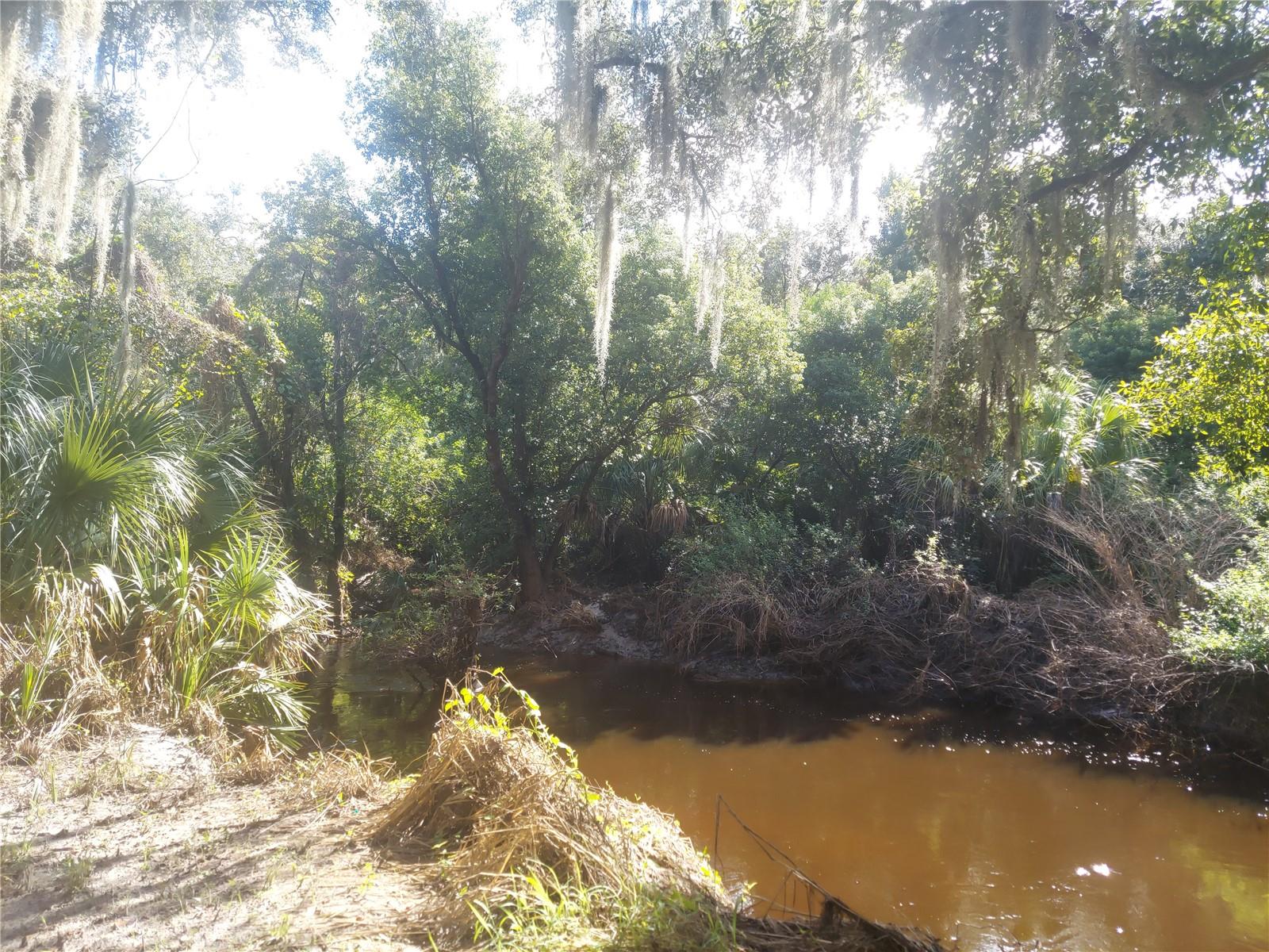 12016 Bullfrog Creek Rd Property Photo 19