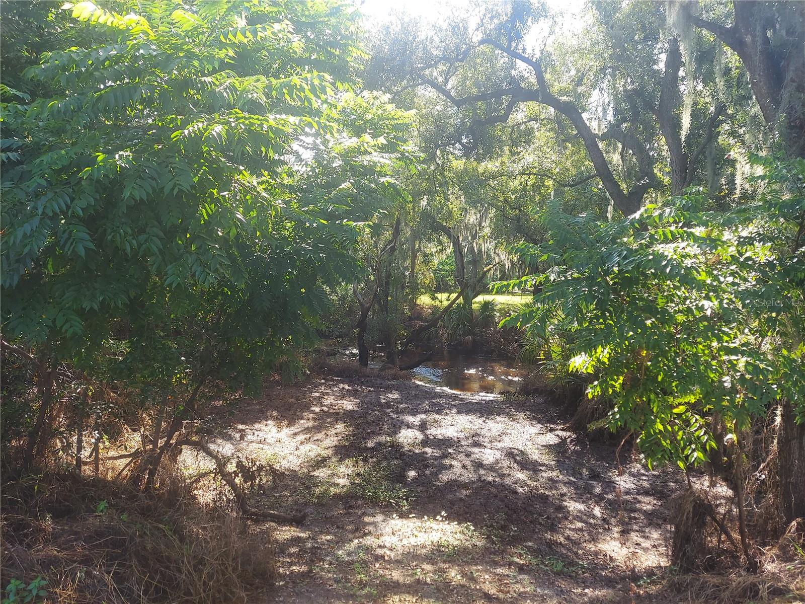 12016 Bullfrog Creek Rd Property Photo 20