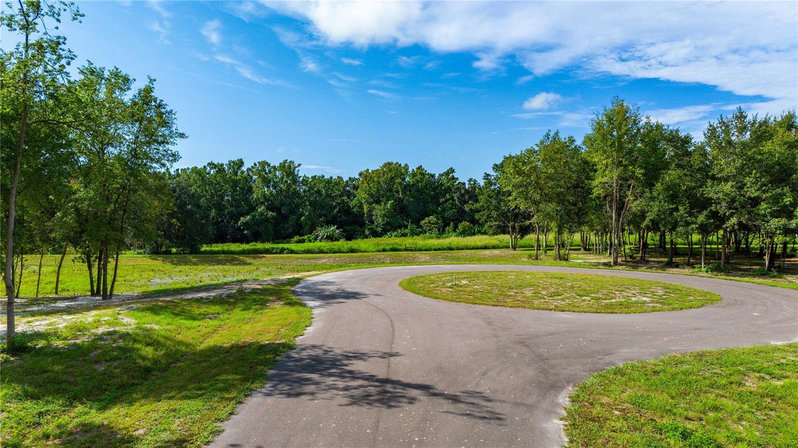 14770 Crimson Oaks Trl Property Photo 1