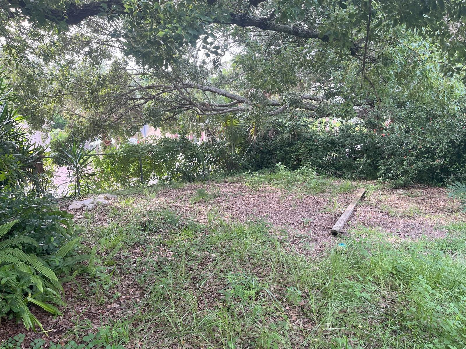 1874 Douglas Ave Property Photo 41