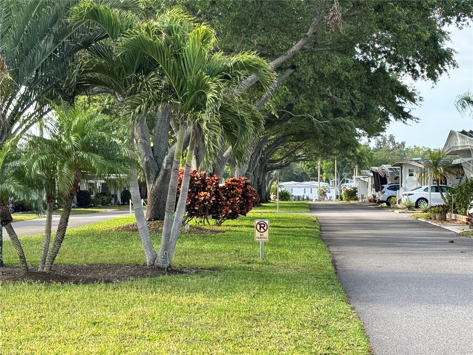 2331 Belleair Rd #lot 237 Property Photo 27