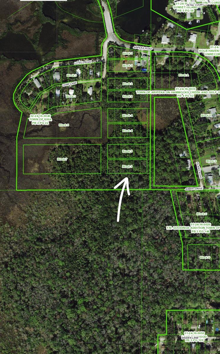 Aripeka Rd Property Photo 2