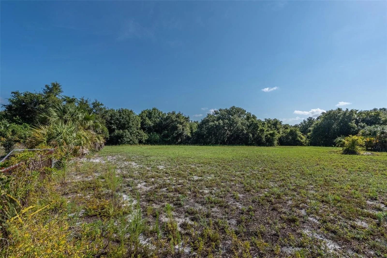 12154 Bullfrog Creek Rd Property Photo 10