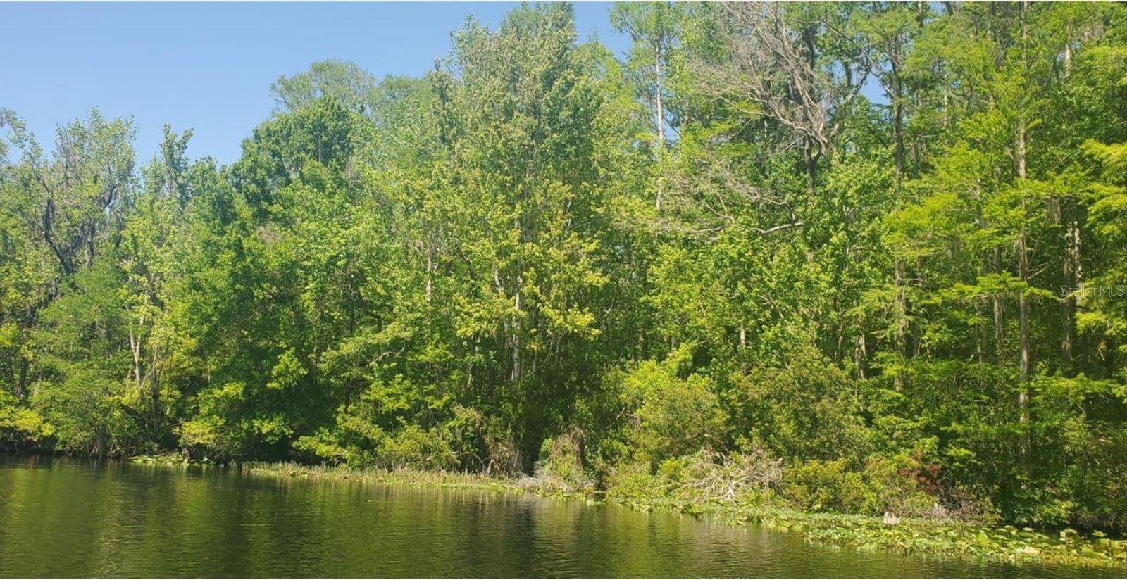 00 W Highway 40 Property Photo 3