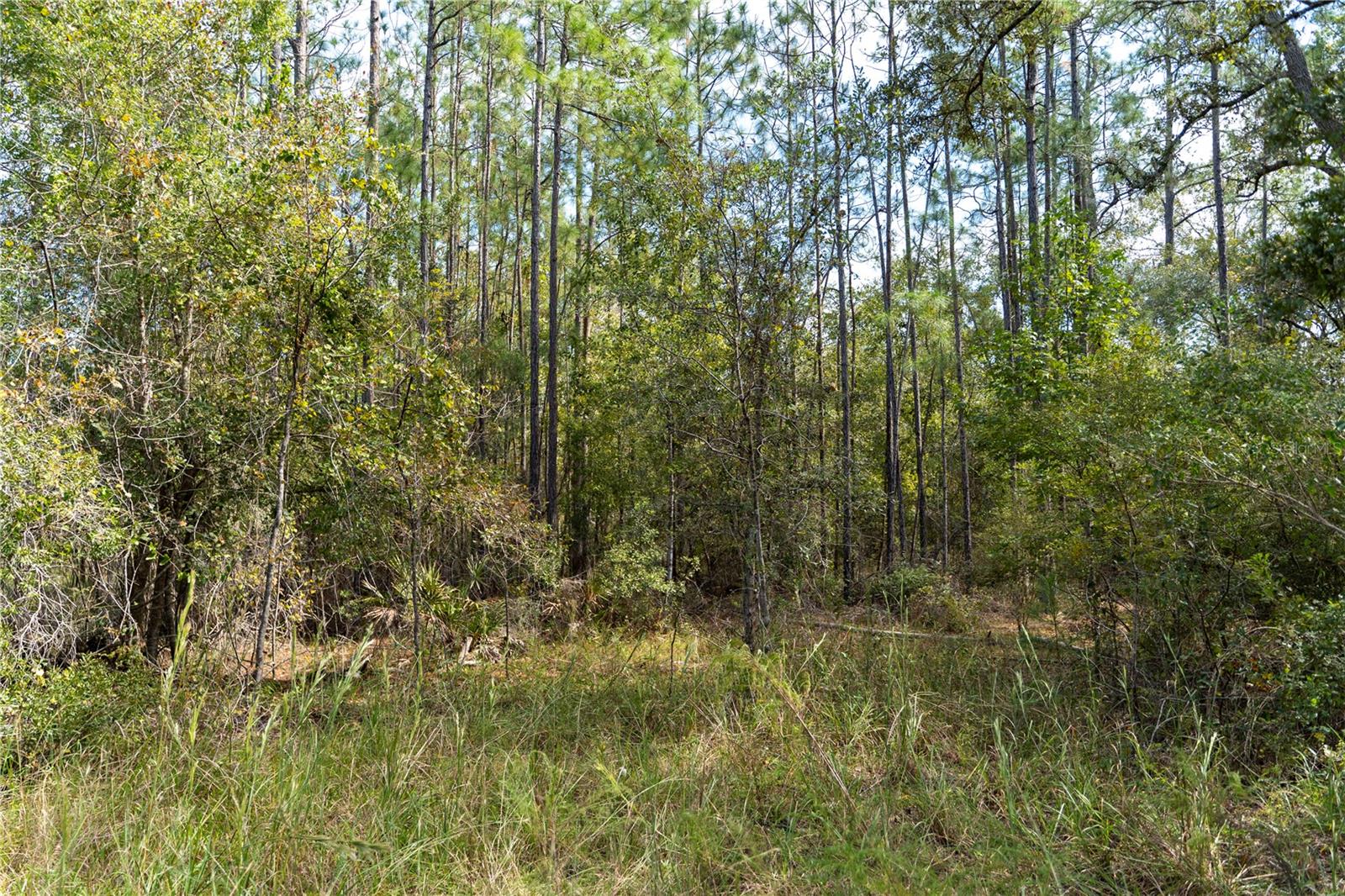Se 918th St Property Photo 1