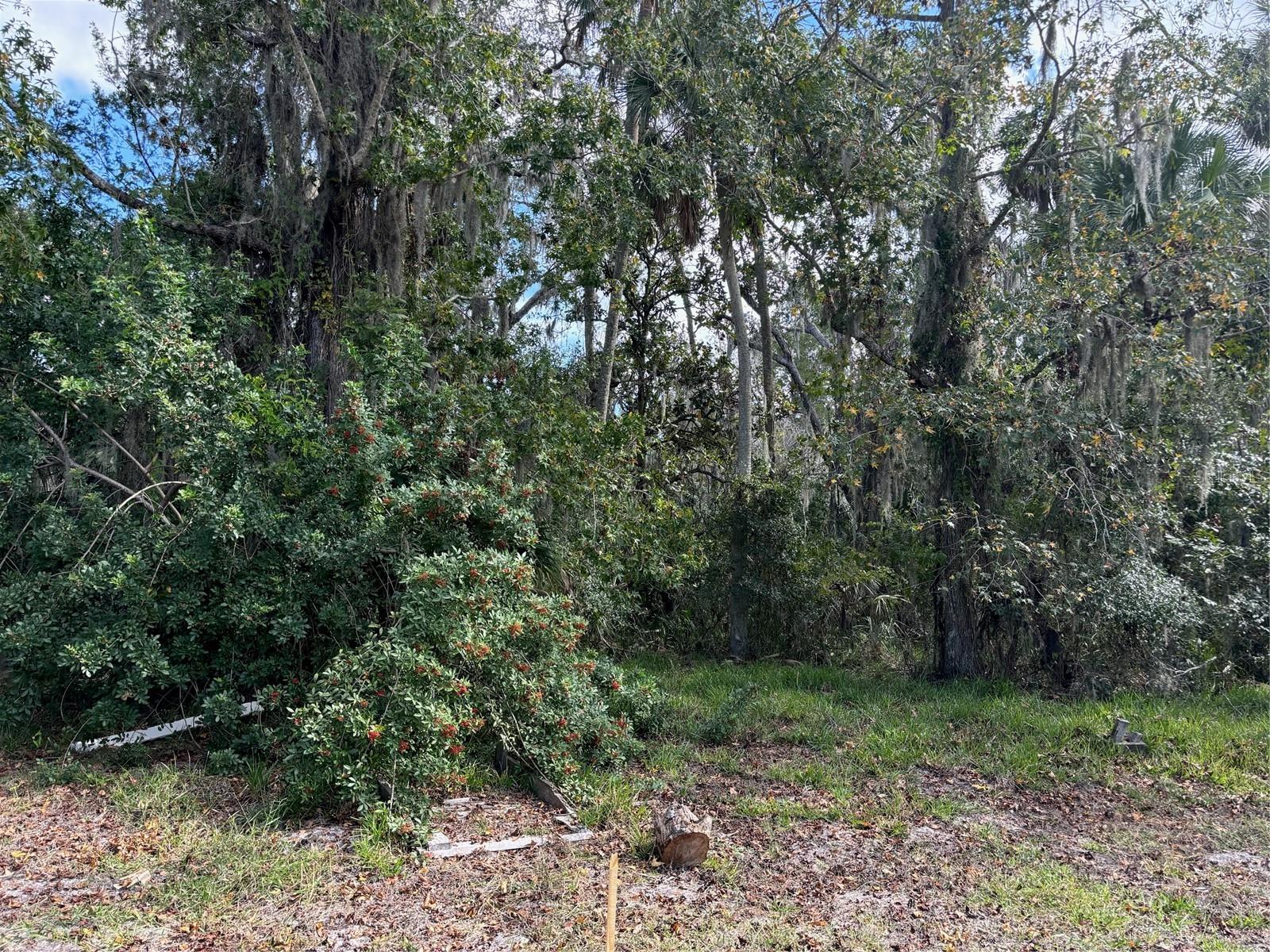 0 Kolb Pl Property Photo 2