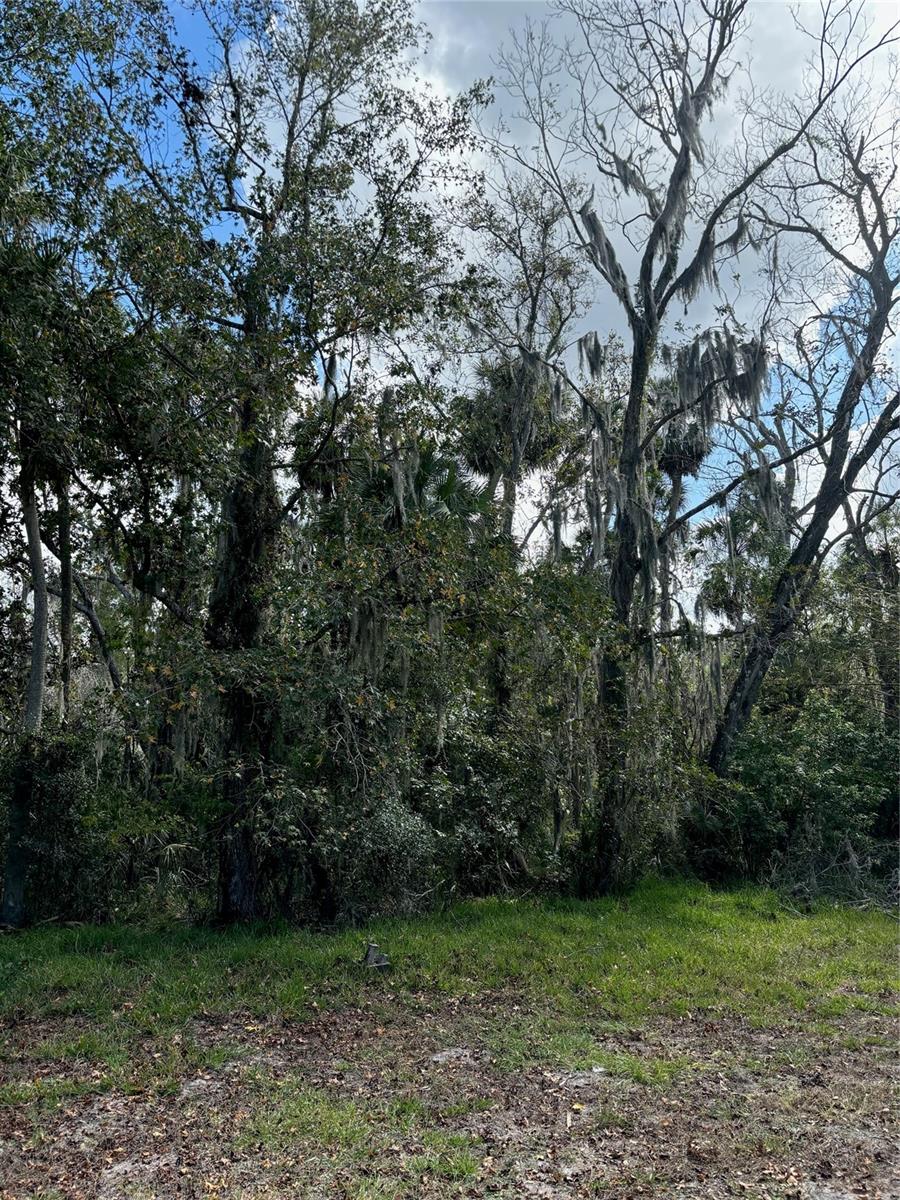 0 Kolb Pl Property Photo 3