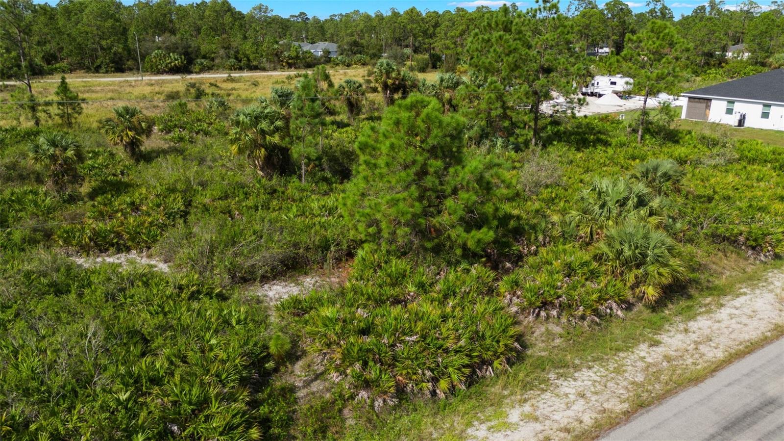 1217 Magnolia Ave Property Photo 4
