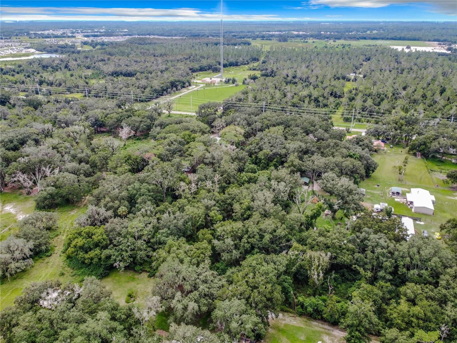 16206 Boyette Rd Property Photo 6