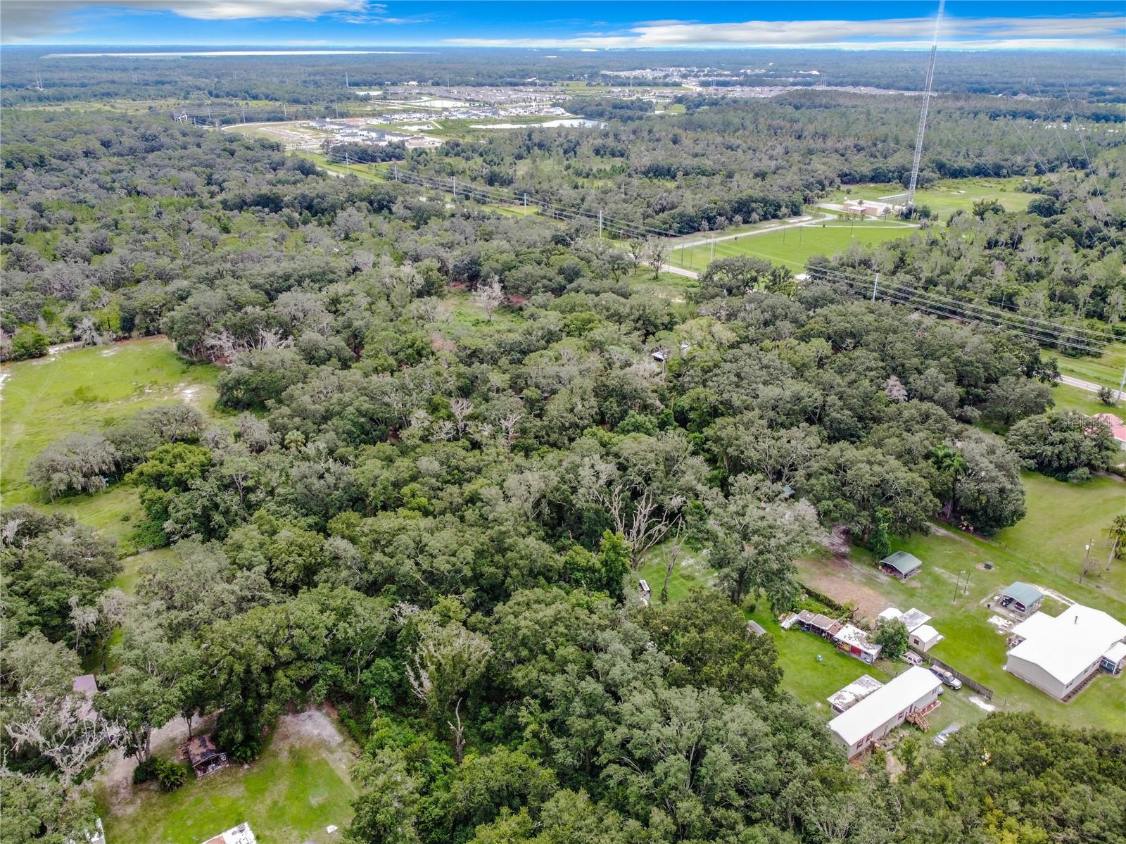 16206 Boyette Rd Property Photo 8