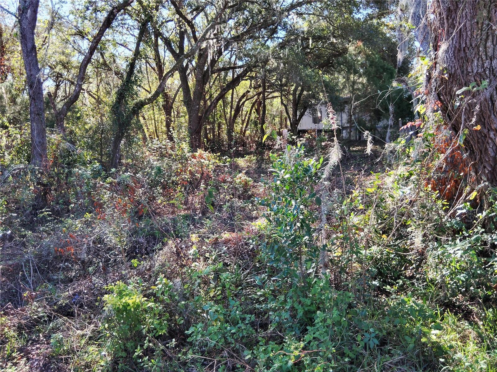 0 Tamer Ln Property Photo 1