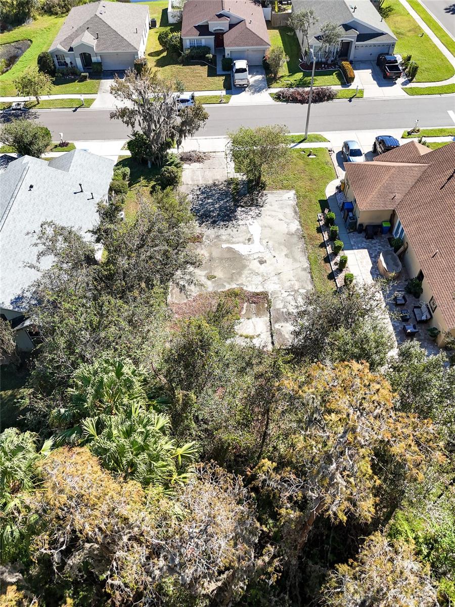 1323 Baythorn Dr Property Photo 8